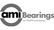 Ami Bearings